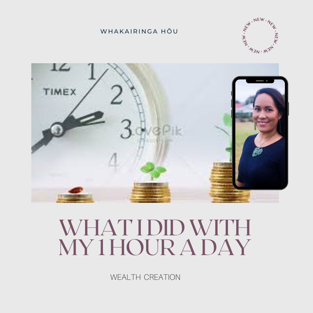 What I did with my 1 Hour a day - Wealth Creation